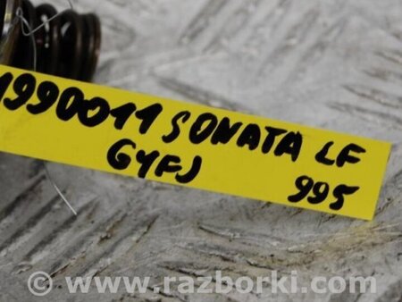 ФОТО ТНВД (бензин) для Hyundai Sonata LF (04.2014-...) Киев