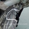 ФОТО Подкрылок для Acura TLX (09.2014-04.2020) Киев