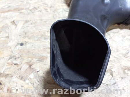 ФОТО Воздухозаборник для Acura TLX (09.2014-04.2020) Киев