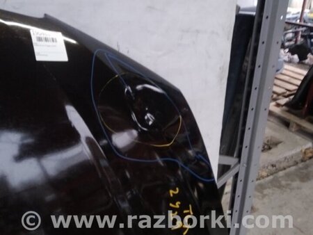 ФОТО Капот для Acura TLX (09.2014-04.2020) Киев