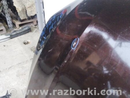 ФОТО Капот для Acura TLX (09.2014-04.2020) Киев