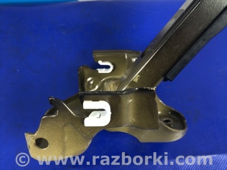 ФОТО Петля крышки багажника для Acura TLX (09.2014-04.2020) Киев
