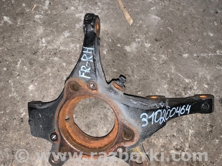 ФОТО Кулак поворотный для Hyundai Elantra AD (09.2015-...) Киев