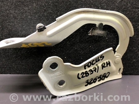 ФОТО Петля капота для Ford Focus 3 (01.2010 - 03.2018) Киев