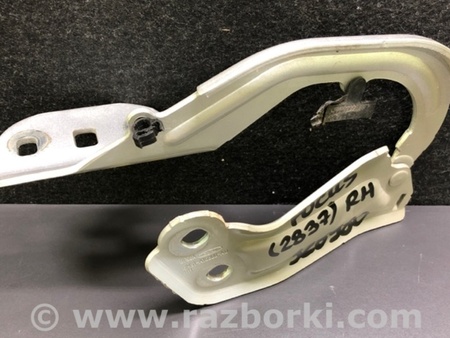 ФОТО Петля капота для Ford Focus 3 (01.2010 - 03.2018) Киев