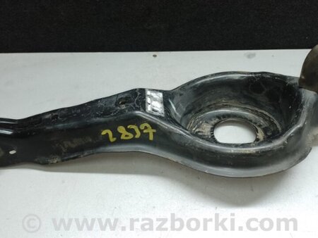 ФОТО Рычаг задний нижний поперечный для Ford Focus 3 (01.2010 - 03.2018) Киев