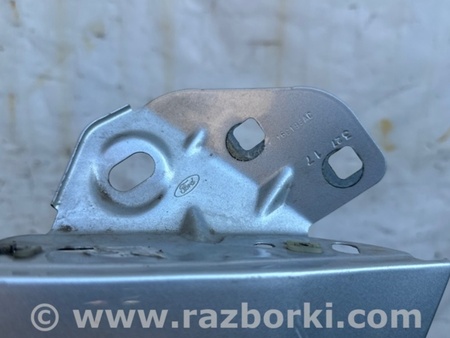 ФОТО Крыло переднее для Ford Focus 3 (01.2010 - 03.2018) Киев