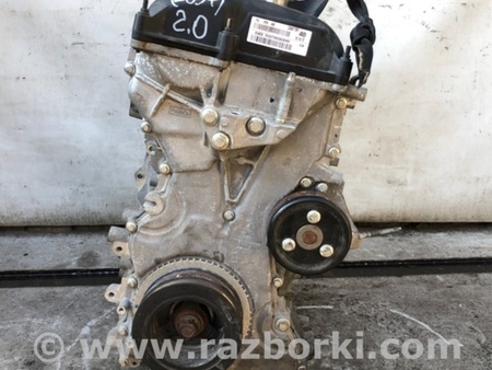 ФОТО Двигатель бензиновый для Ford Focus 3 (01.2010 - 03.2018) Киев