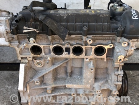 ФОТО Двигатель бензиновый для Ford Focus 3 (01.2010 - 03.2018) Киев