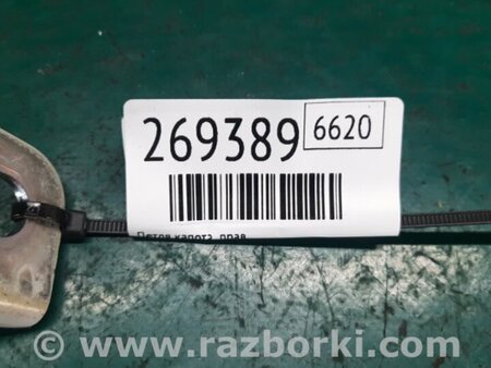 ФОТО Петля капота для KIA Sedona (14-18) Киев