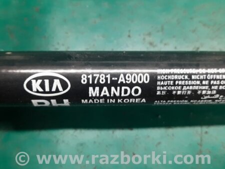 ФОТО Амортизатор крышки багажника для KIA Sedona (14-18) Киев