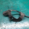 ФОТО Провод датчика ABS для KIA Sedona (14-18) Киев