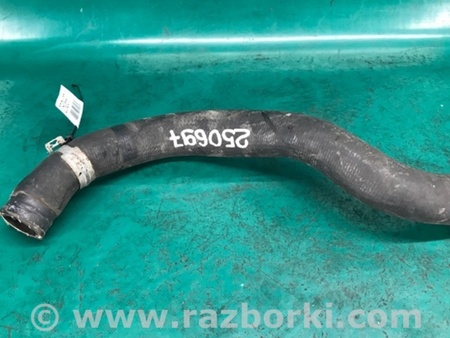ФОТО Патрубок системы охлаждения для Honda Accord CG, CH (01.1998 - 01.2003) Киев