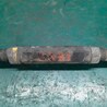 ФОТО Рычаг задний нижний поперечный для Toyota Camry 20 XV20 (08.1996-01.2002) Киев