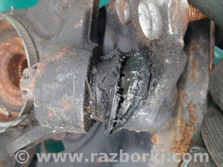 ФОТО Кулак поворотный для Lexus RX300 (98-03) Киев