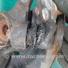 ФОТО Кулак поворотный для Lexus RX300 (98-03) Киев