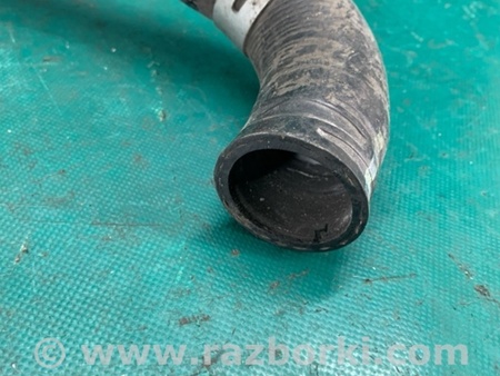 ФОТО Патрубок системы охлаждения для Toyota Camry 30 XV30 (09.2001-03.2006) Киев