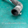 ФОТО Патрубок системы охлаждения для Toyota Camry 30 XV30 (09.2001-03.2006) Киев