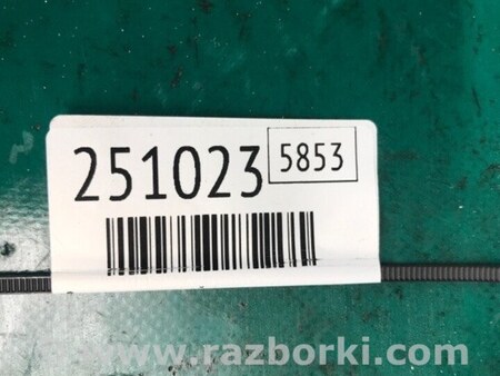 ФОТО Радиатор основной для Toyota Avalon XX20 (08.1999-11.2004) Киев