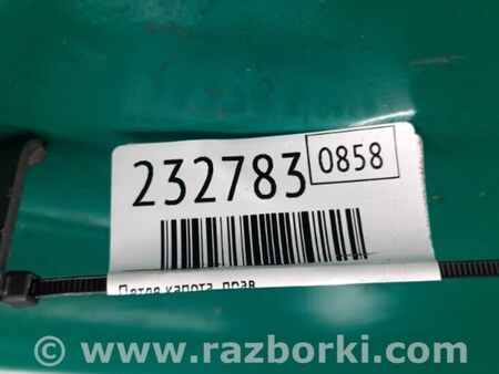 ФОТО Петля капота для Acura MDX YD1 (2000-2006) Киев