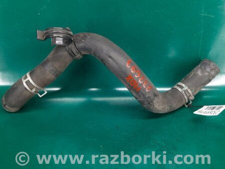 ФОТО Патрубок системы охлаждения для Acura MDX YD1 (2000-2006) Киев