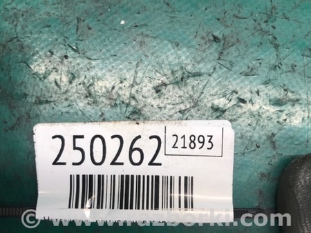 ФОТО Натяжитель ремня приводного для Honda CR-V (02-06) Киев