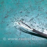 ФОТО Датчик ABS для Toyota Solara Киев