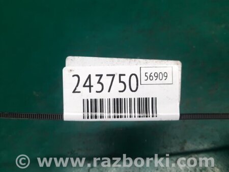 ФОТО Петля двери нижняя для Toyota Camry 30 XV30 (09.2001-03.2006) Киев