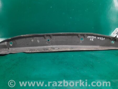 ФОТО Пыльник крыла для Mercedes-Benz R-CLASS W251 (05-13) Киев