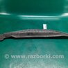 ФОТО Пыльник крыла для Mercedes-Benz R-CLASS W251 (05-13) Киев