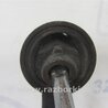 ФОТО Рычаг задний продольный для Lexus RX300/330/350/400 (03-09) Киев