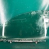 Стекло двери Toyota RAV-4 (05-12)