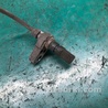 ФОТО Датчик ABS для Toyota RAV-4 (05-12) Киев