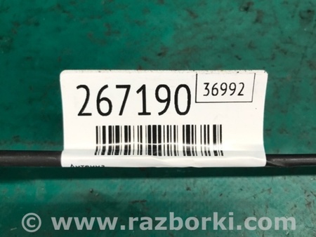 ФОТО Антенна для Toyota RAV-4 (05-12) Киев