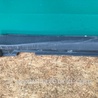 ФОТО Накладка порога наружная для Lexus RX300/330/350/400 (03-09) Киев