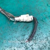 ФОТО Датчик ABS для Lexus RX300/330/350/400 (03-09) Киев