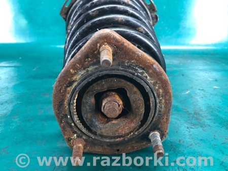 ФОТО Амортизатор для Lexus RX300/330/350/400 (03-09) Киев