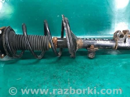 ФОТО Амортизатор для Lexus RX300/330/350/400 (03-09) Киев