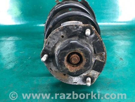 ФОТО Амортизатор для Lexus RX300/330/350/400 (03-09) Киев
