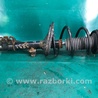 ФОТО Амортизатор для Lexus RX300/330/350/400 (03-09) Киев