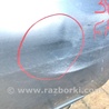 ФОТО Дверь для Lexus RX300/330/350/400 (03-09) Киев