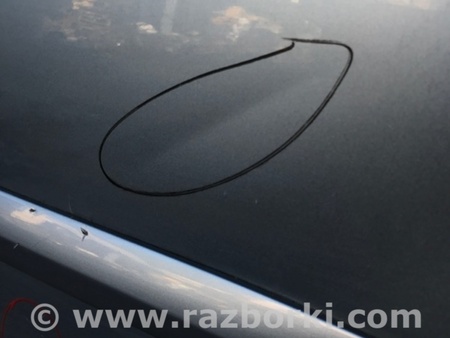 ФОТО Дверь для Lexus RX300/330/350/400 (03-09) Киев