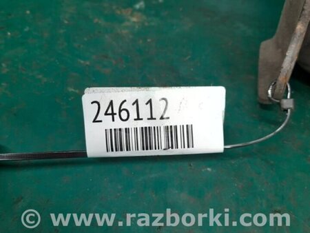 ФОТО Амортизатор для Scion xB (II) (2007-2015) Киев