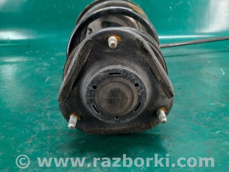ФОТО Амортизатор для Scion xB (II) (2007-2015) Киев