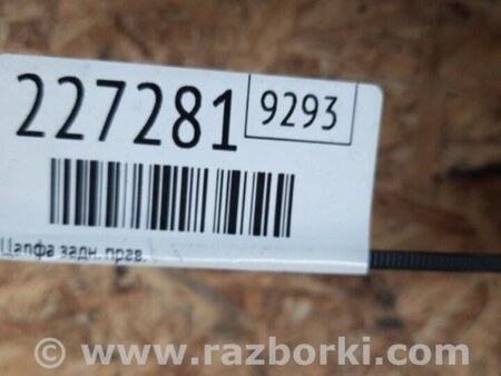 ФОТО Цапфа для Toyota Avalon XX30 (12.2004-10.2012) Киев