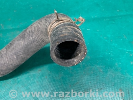 ФОТО Патрубок системы охлаждения для Toyota Avalon XX30 (12.2004-10.2012) Киев