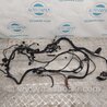 Проводка моторного отсека Mercedes-Benz R-CLASS W251 (05-13)