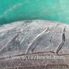 ФОТО Диск R18 для Acura RDX TB 1/2 (07.2006-2012) Киев