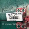 ФОТО Петля двери багажника для Toyota RAV-4 (05-12) Киев