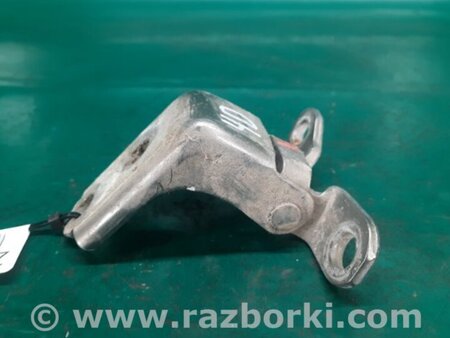 ФОТО Петля двери нижняя для Honda Civic 8 FK,FN1,FN2 UFO (09.2005 - 06.2012) Киев
